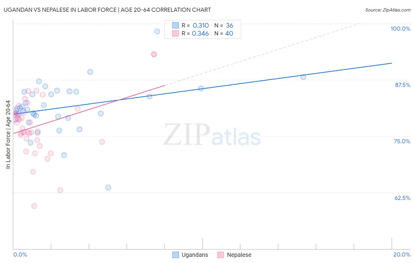 Ugandan vs Nepalese In Labor Force | Age 20-64