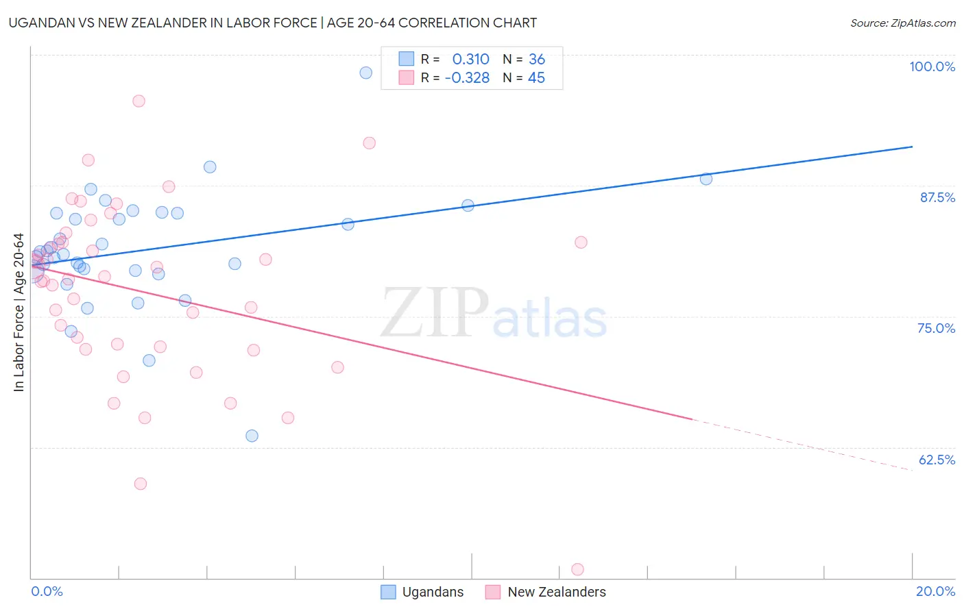 Ugandan vs New Zealander In Labor Force | Age 20-64