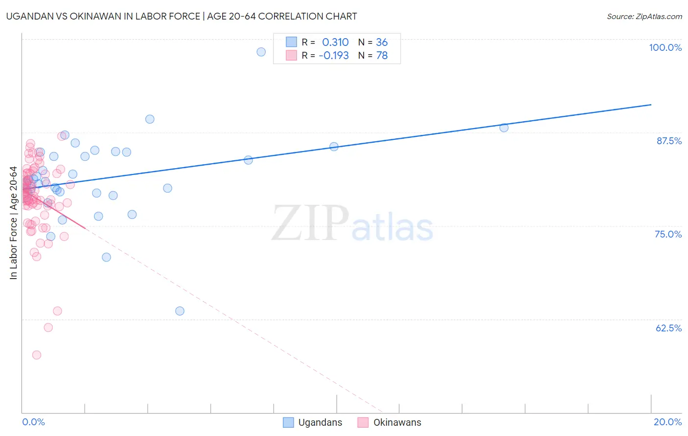 Ugandan vs Okinawan In Labor Force | Age 20-64