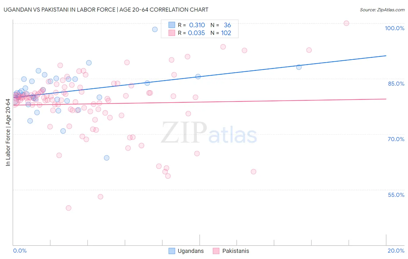Ugandan vs Pakistani In Labor Force | Age 20-64