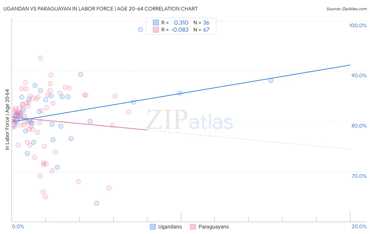 Ugandan vs Paraguayan In Labor Force | Age 20-64