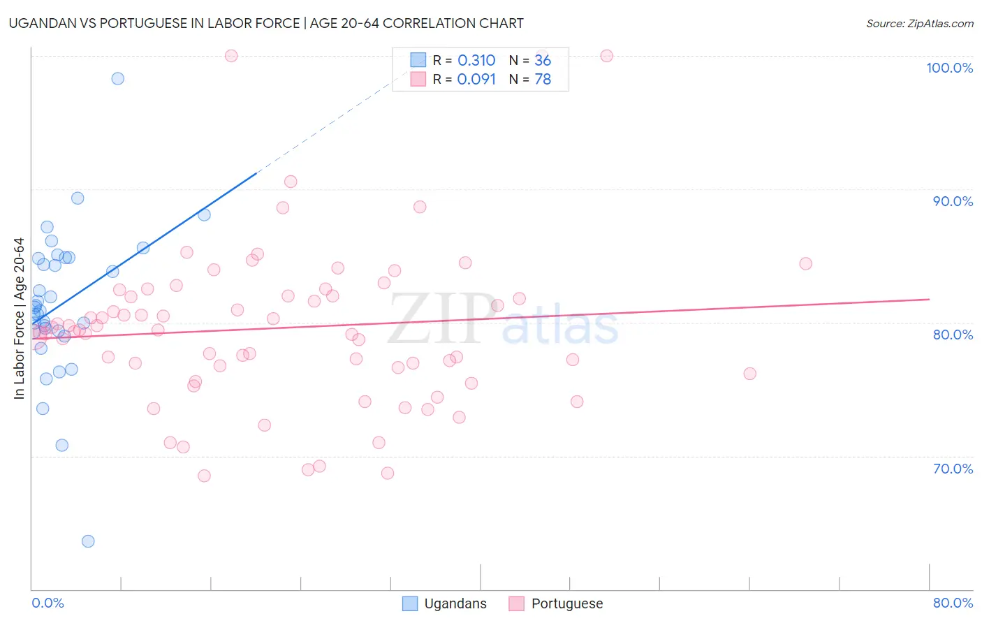 Ugandan vs Portuguese In Labor Force | Age 20-64