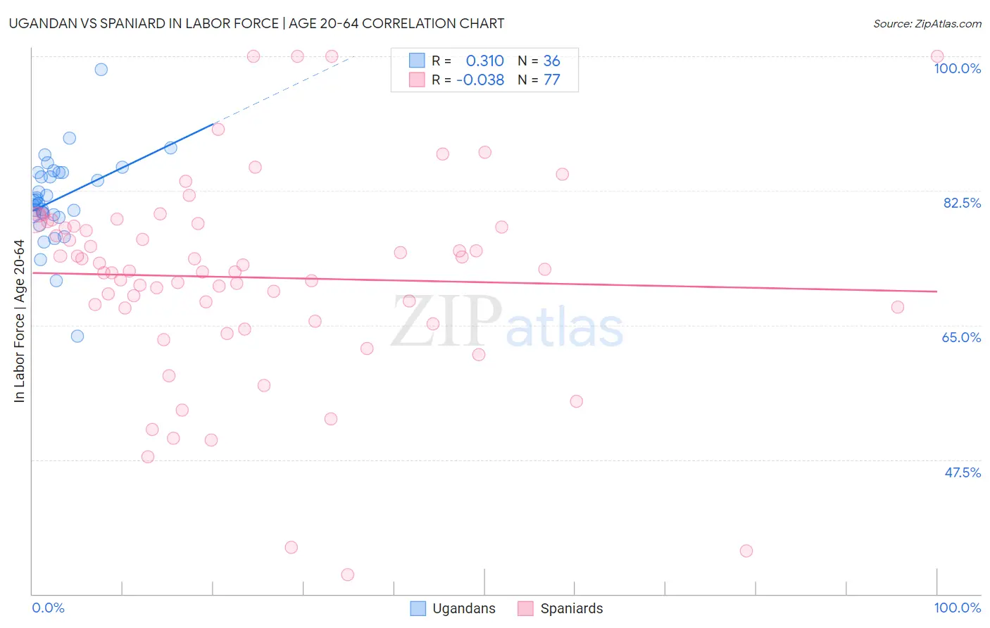 Ugandan vs Spaniard In Labor Force | Age 20-64