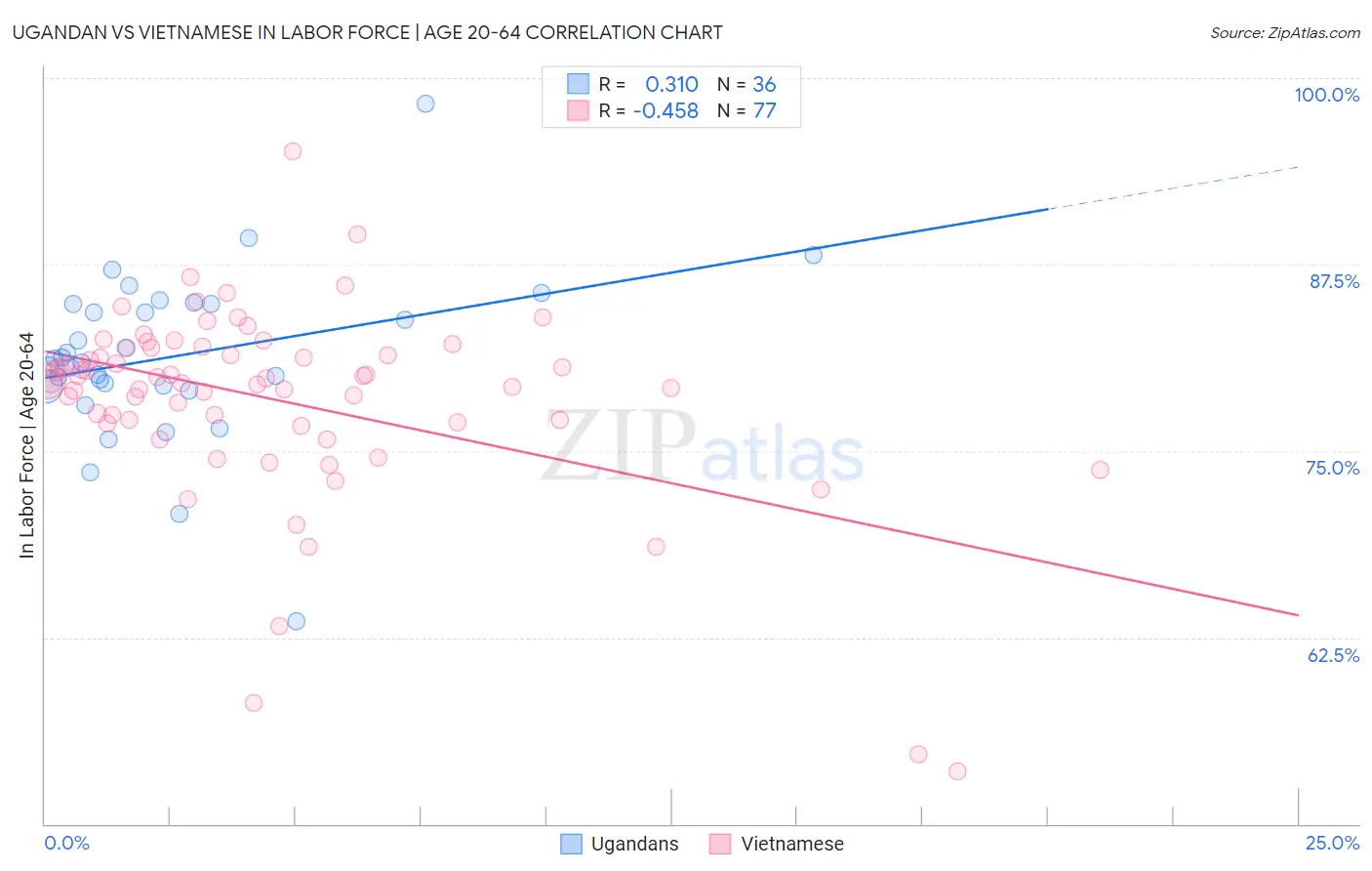 Ugandan vs Vietnamese In Labor Force | Age 20-64