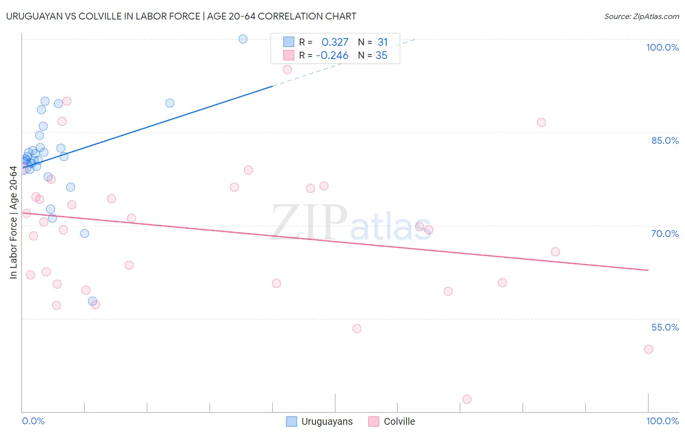 Uruguayan vs Colville In Labor Force | Age 20-64