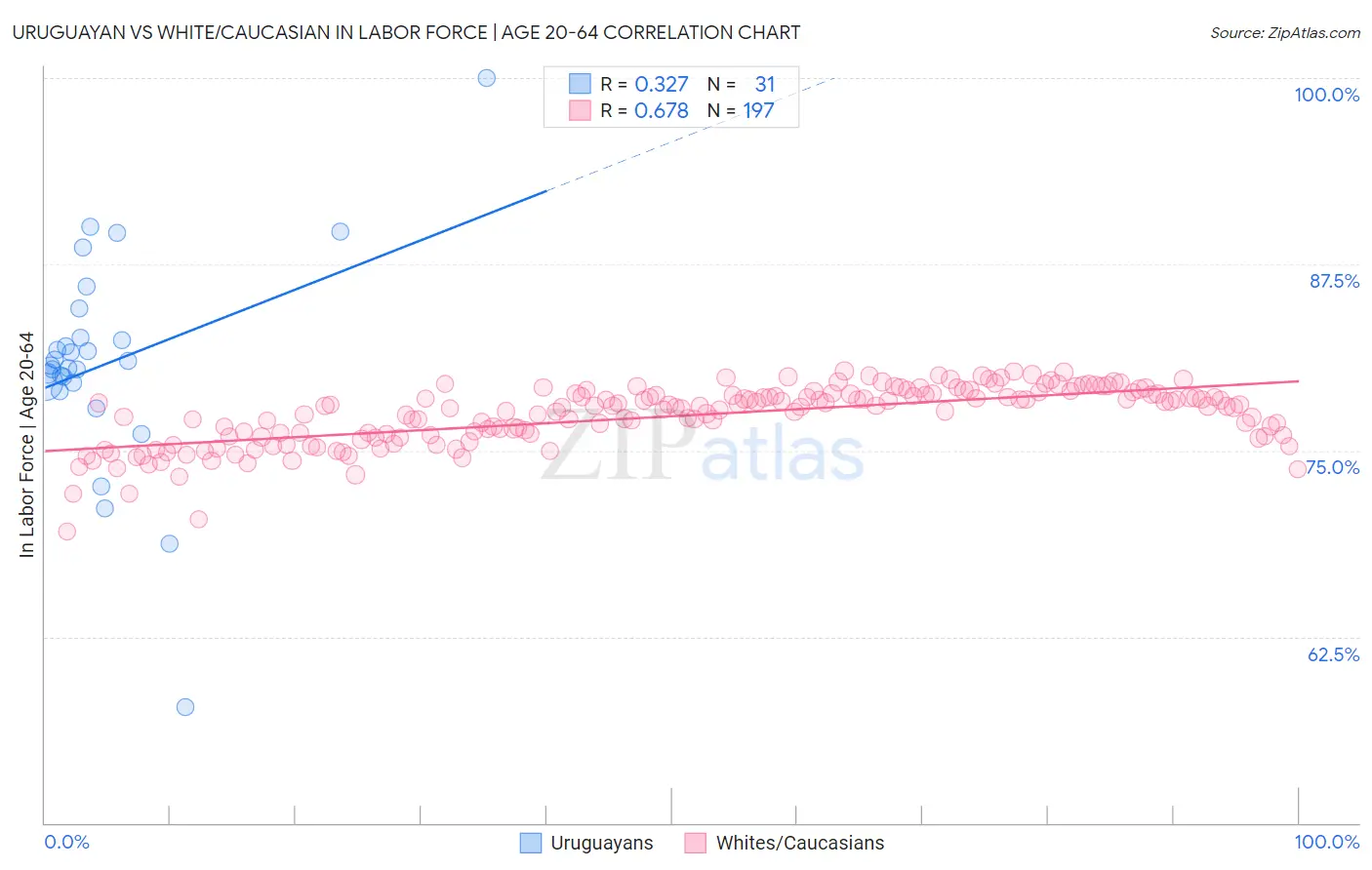 Uruguayan vs White/Caucasian In Labor Force | Age 20-64