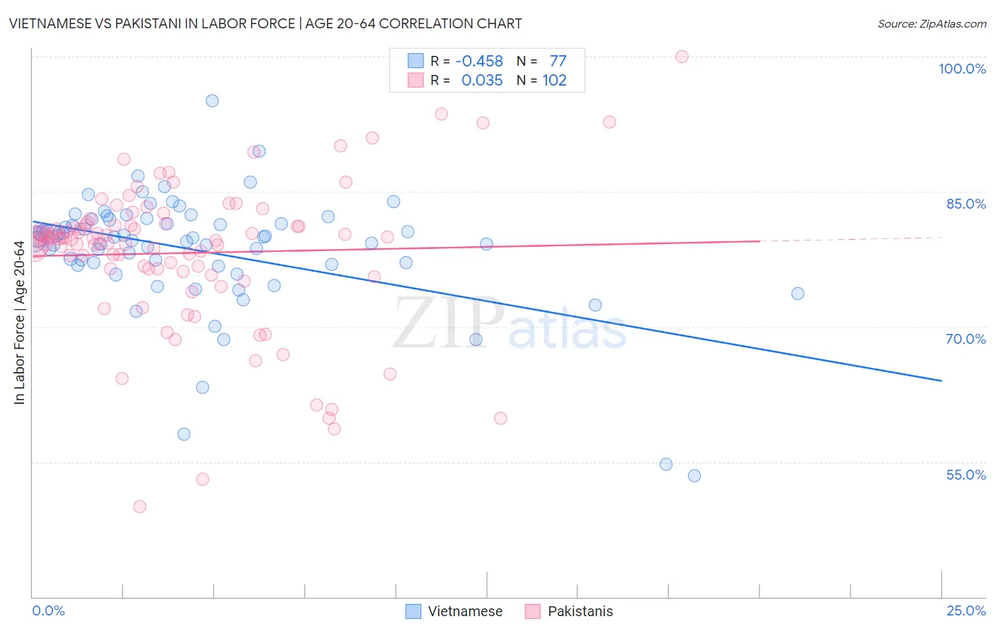 Vietnamese vs Pakistani In Labor Force | Age 20-64