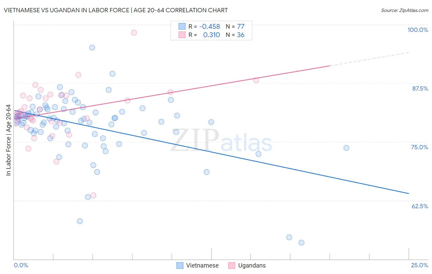 Vietnamese vs Ugandan In Labor Force | Age 20-64