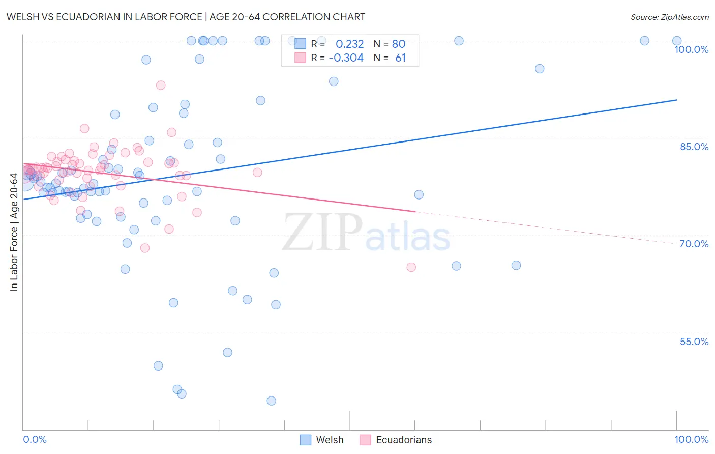 Welsh vs Ecuadorian In Labor Force | Age 20-64