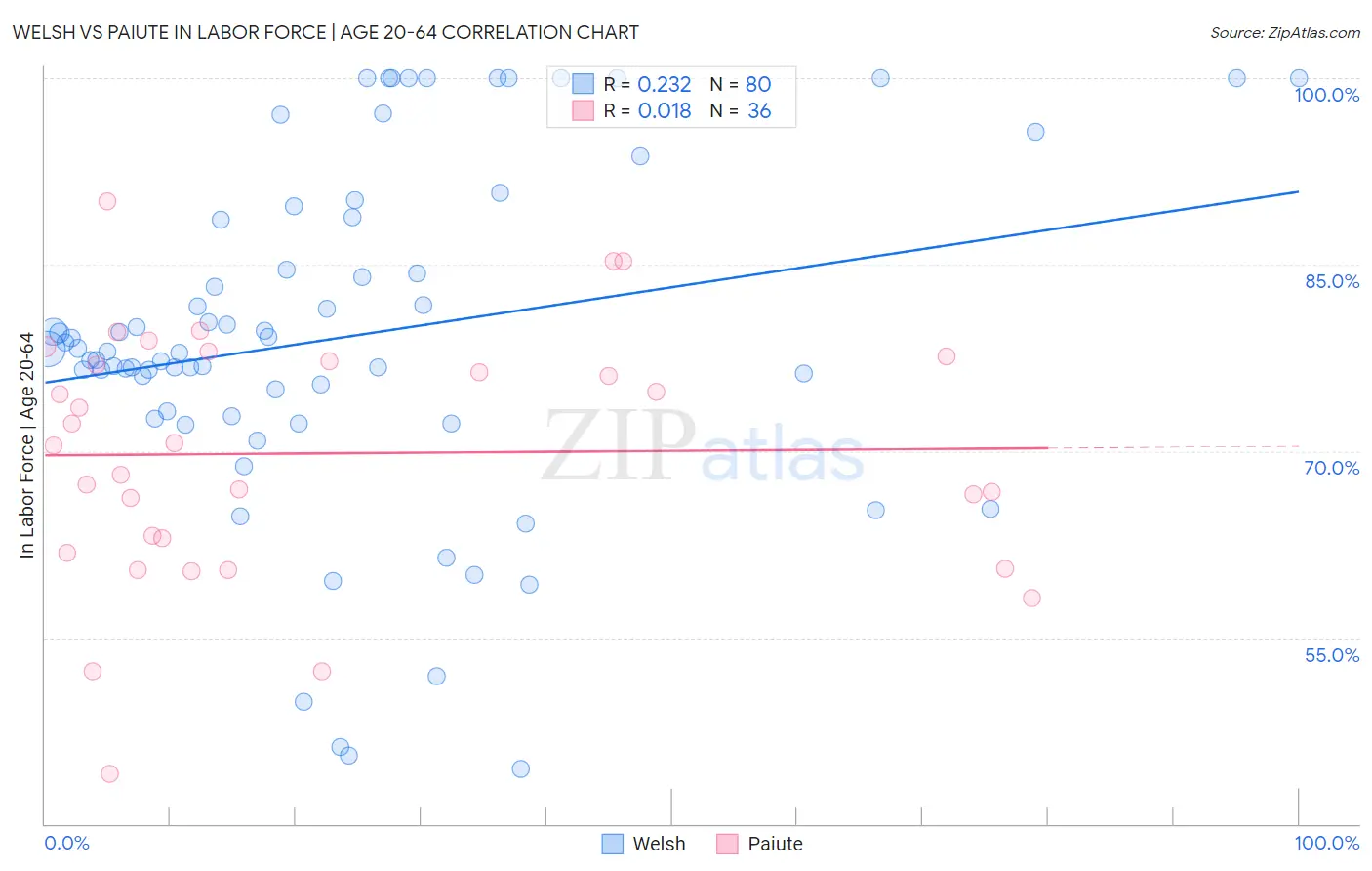Welsh vs Paiute In Labor Force | Age 20-64