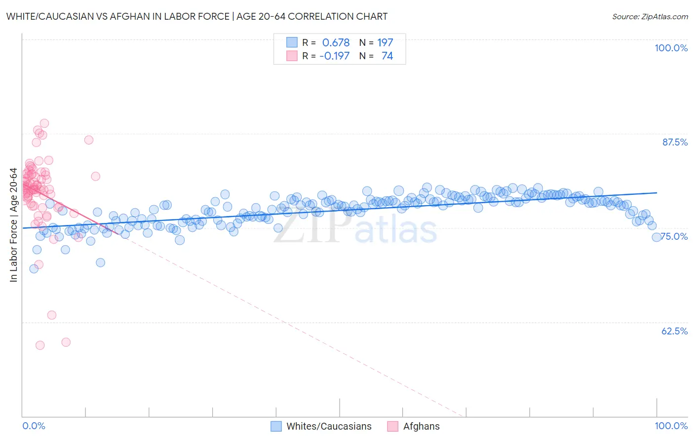 White/Caucasian vs Afghan In Labor Force | Age 20-64