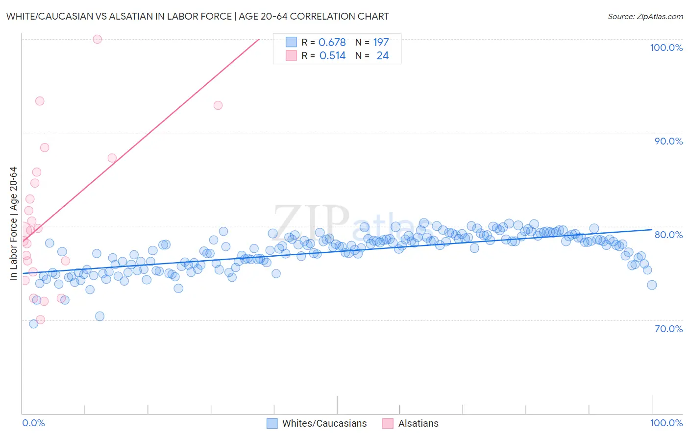 White/Caucasian vs Alsatian In Labor Force | Age 20-64