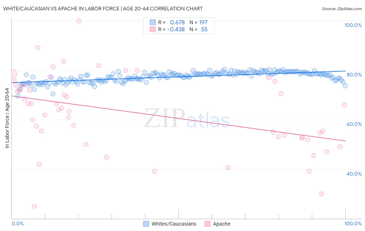 White/Caucasian vs Apache In Labor Force | Age 20-64