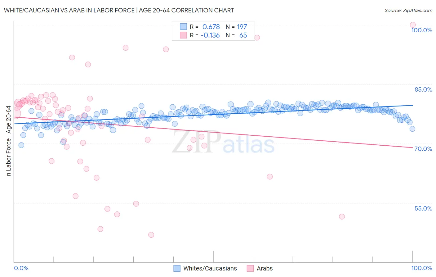 White/Caucasian vs Arab In Labor Force | Age 20-64