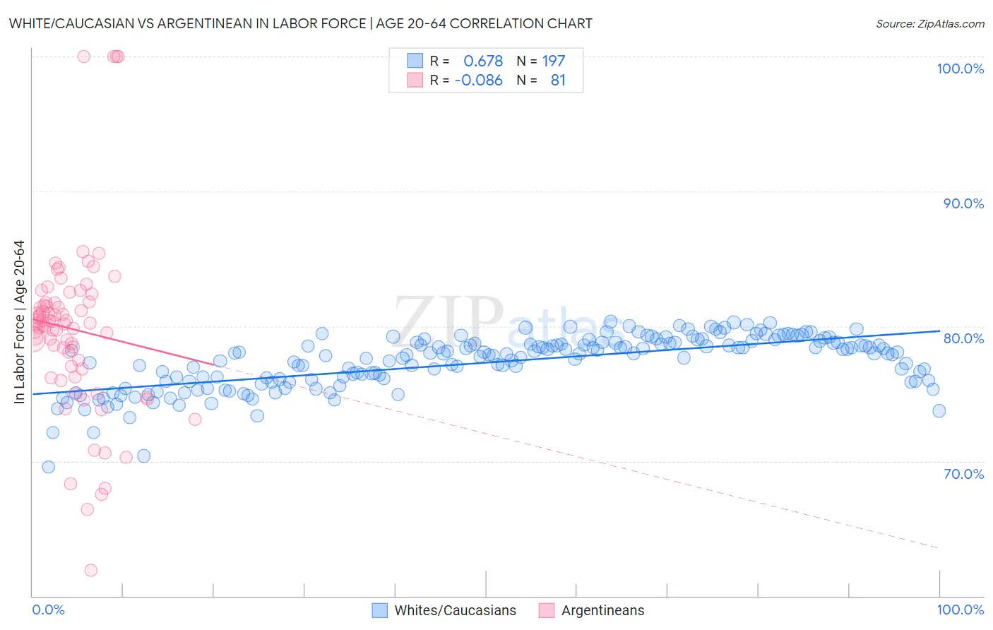 White/Caucasian vs Argentinean In Labor Force | Age 20-64