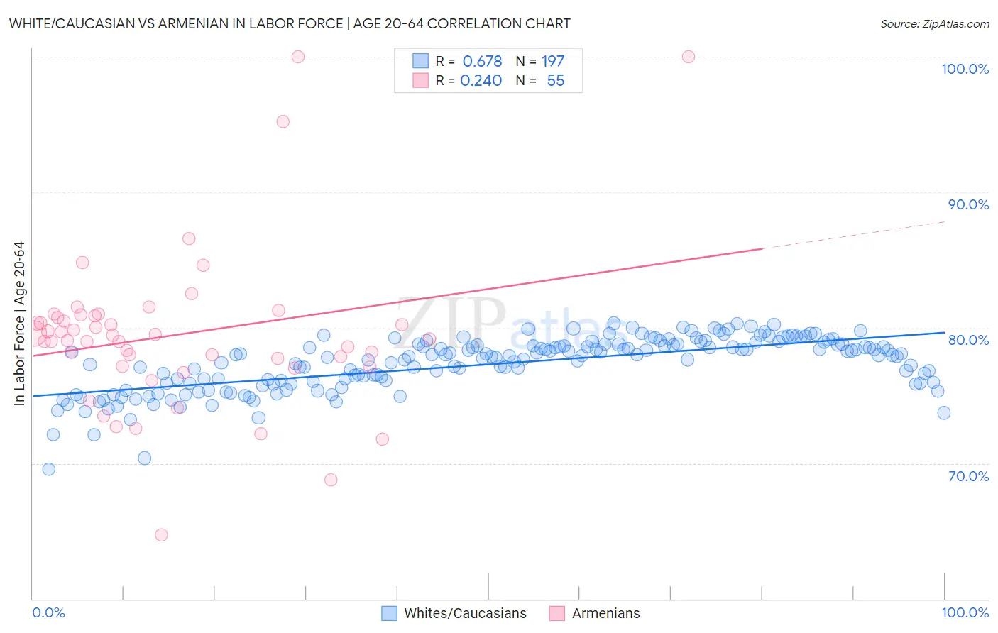 White/Caucasian vs Armenian In Labor Force | Age 20-64