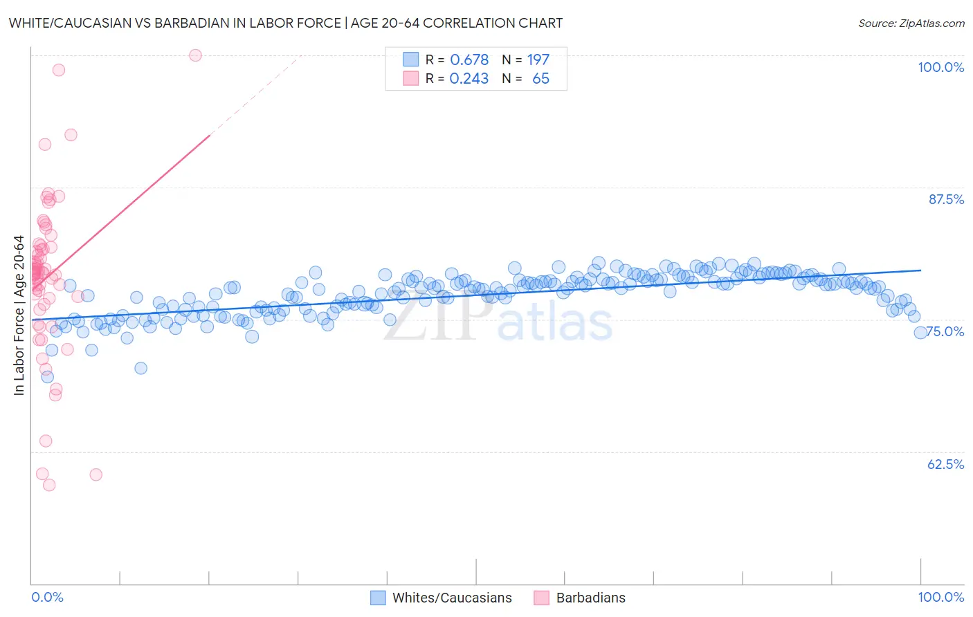 White/Caucasian vs Barbadian In Labor Force | Age 20-64