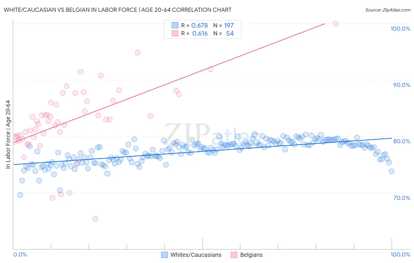 White/Caucasian vs Belgian In Labor Force | Age 20-64