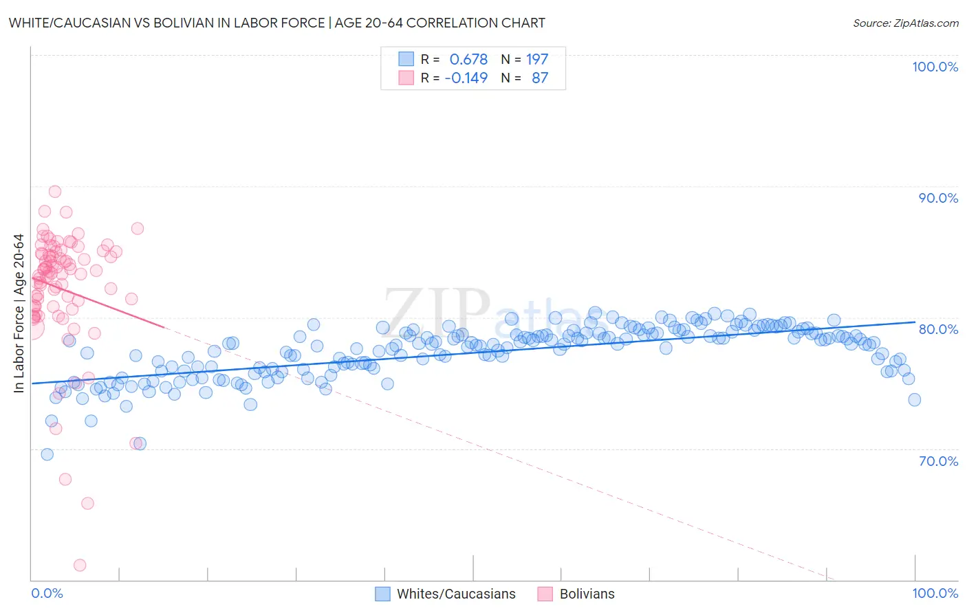 White/Caucasian vs Bolivian In Labor Force | Age 20-64