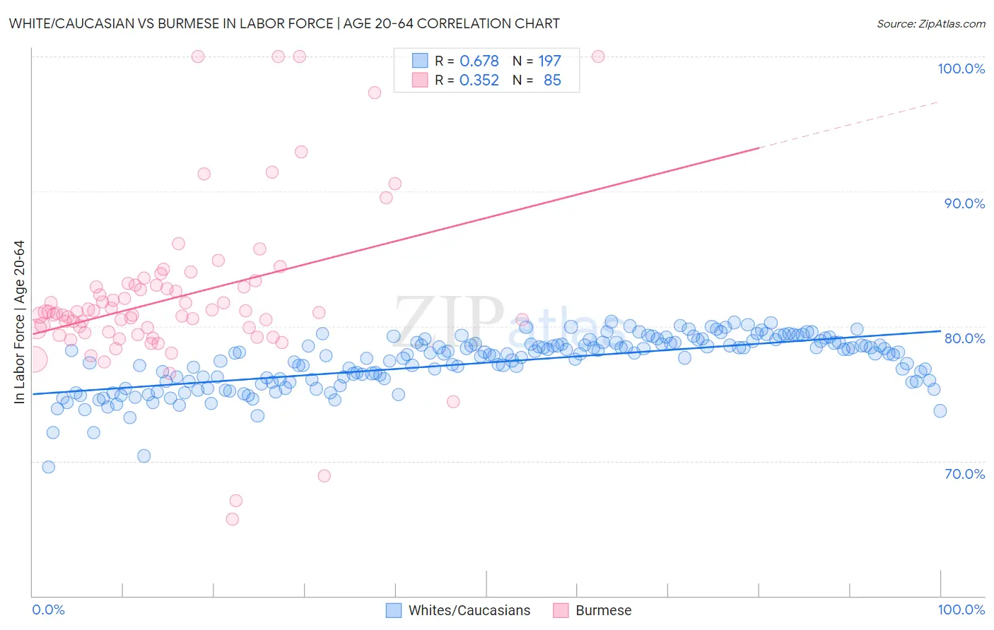 White/Caucasian vs Burmese In Labor Force | Age 20-64