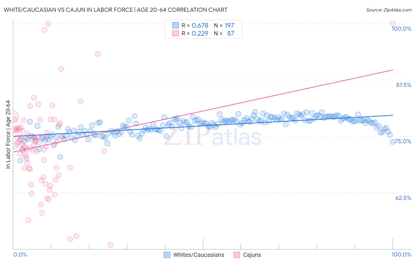 White/Caucasian vs Cajun In Labor Force | Age 20-64