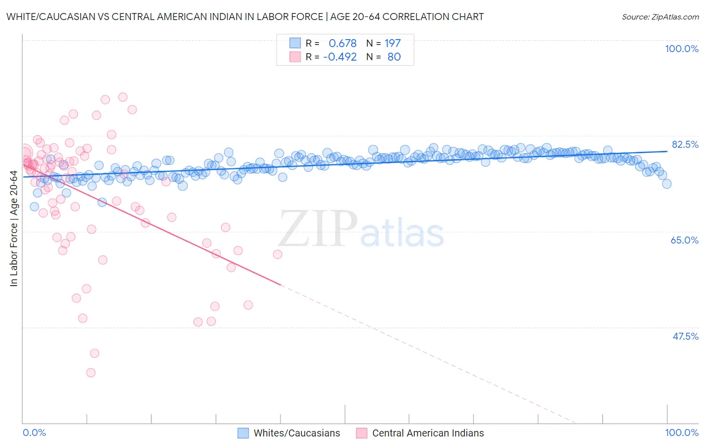 White/Caucasian vs Central American Indian In Labor Force | Age 20-64