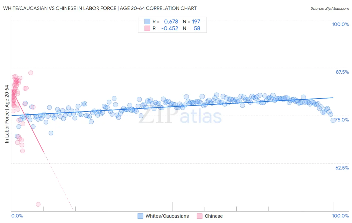 White/Caucasian vs Chinese In Labor Force | Age 20-64