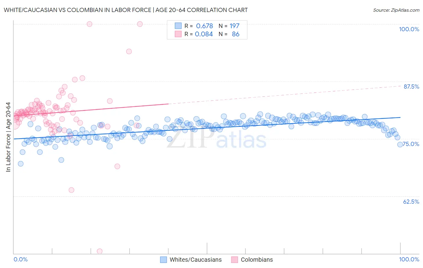 White/Caucasian vs Colombian In Labor Force | Age 20-64