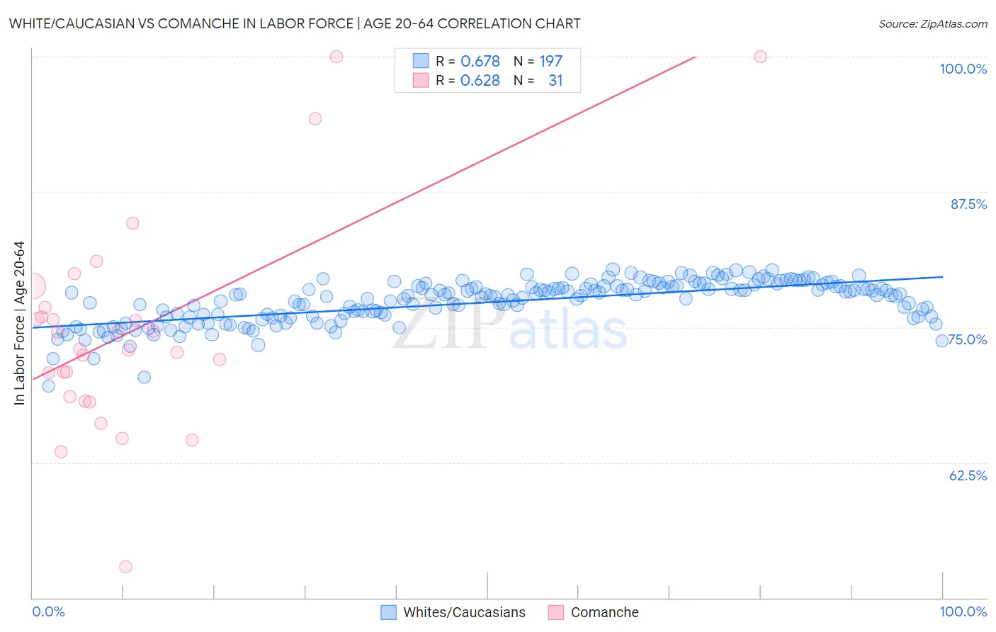 White/Caucasian vs Comanche In Labor Force | Age 20-64