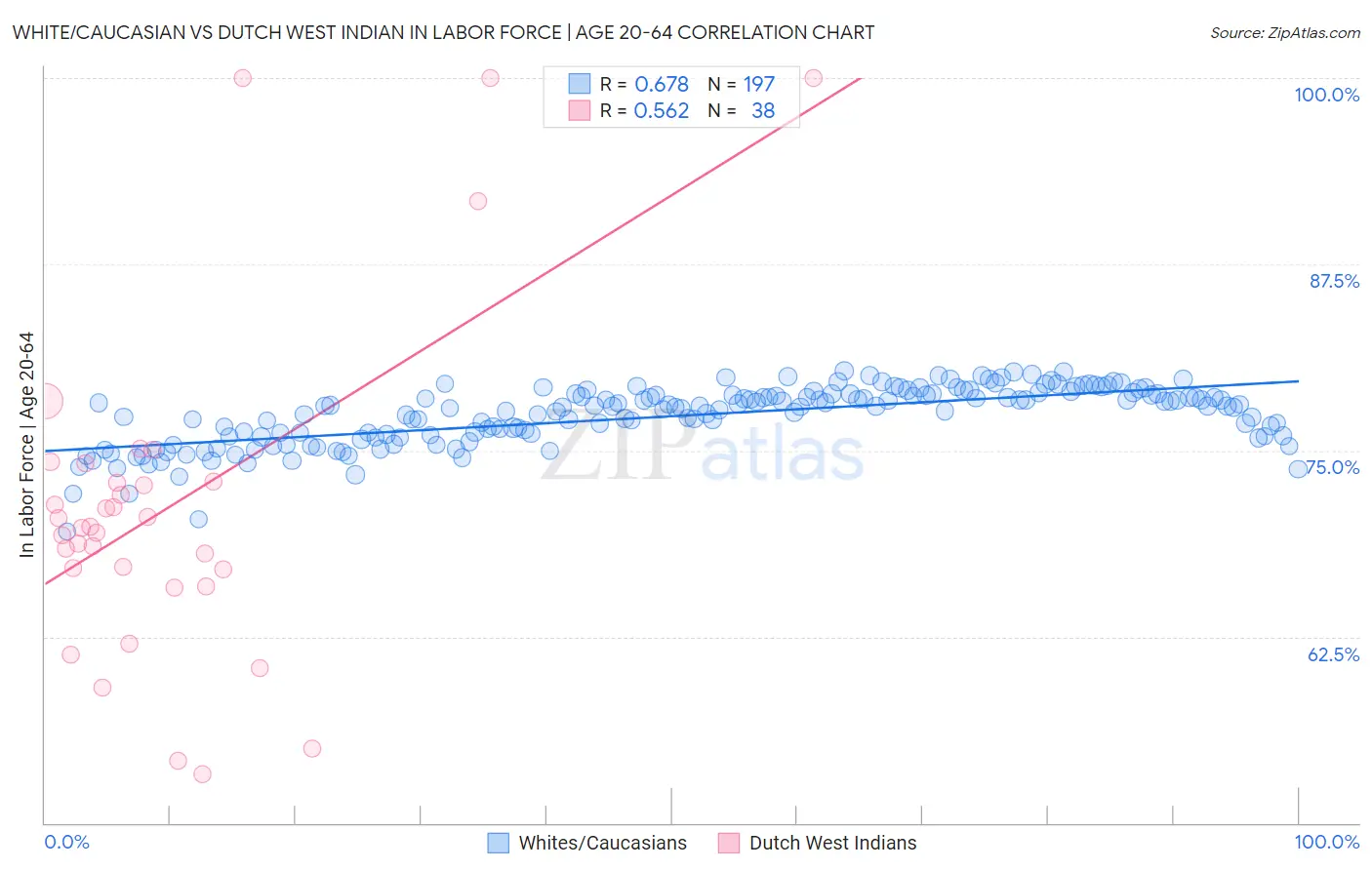 White/Caucasian vs Dutch West Indian In Labor Force | Age 20-64