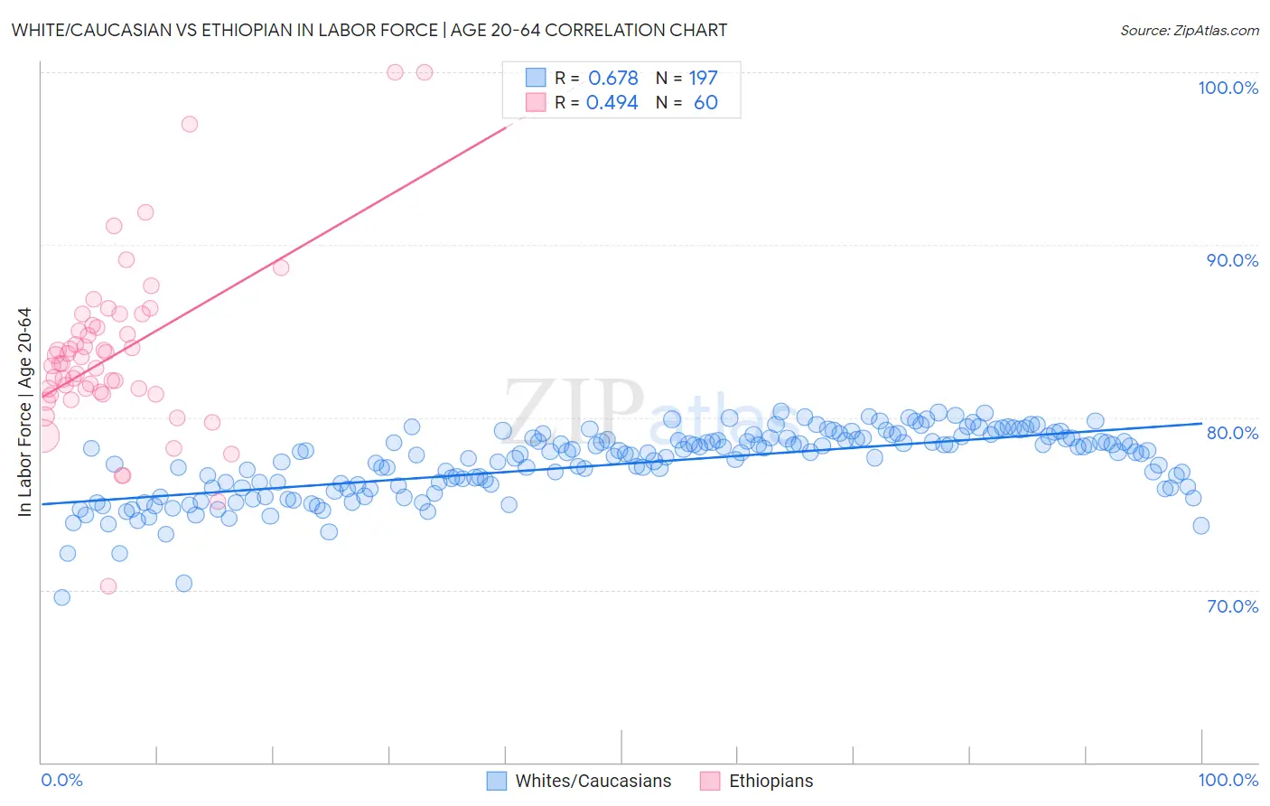 White/Caucasian vs Ethiopian In Labor Force | Age 20-64