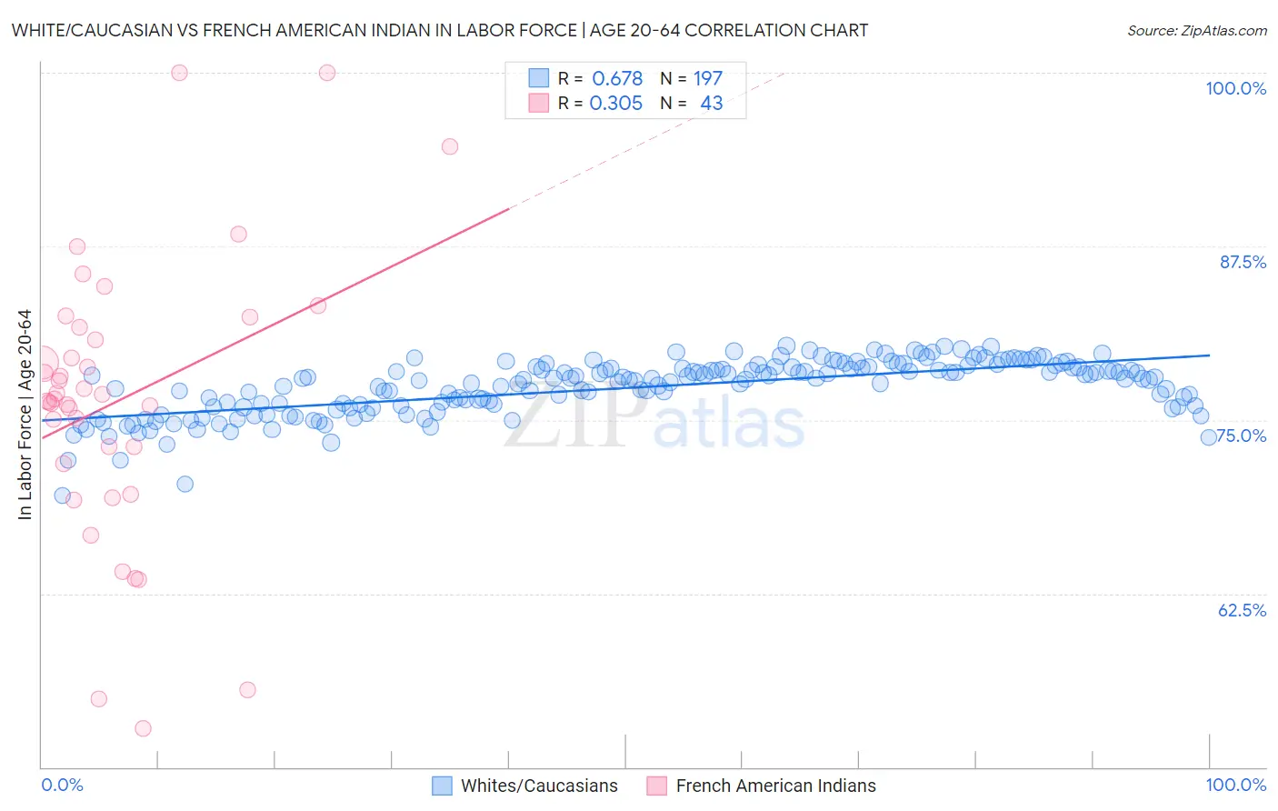 White/Caucasian vs French American Indian In Labor Force | Age 20-64