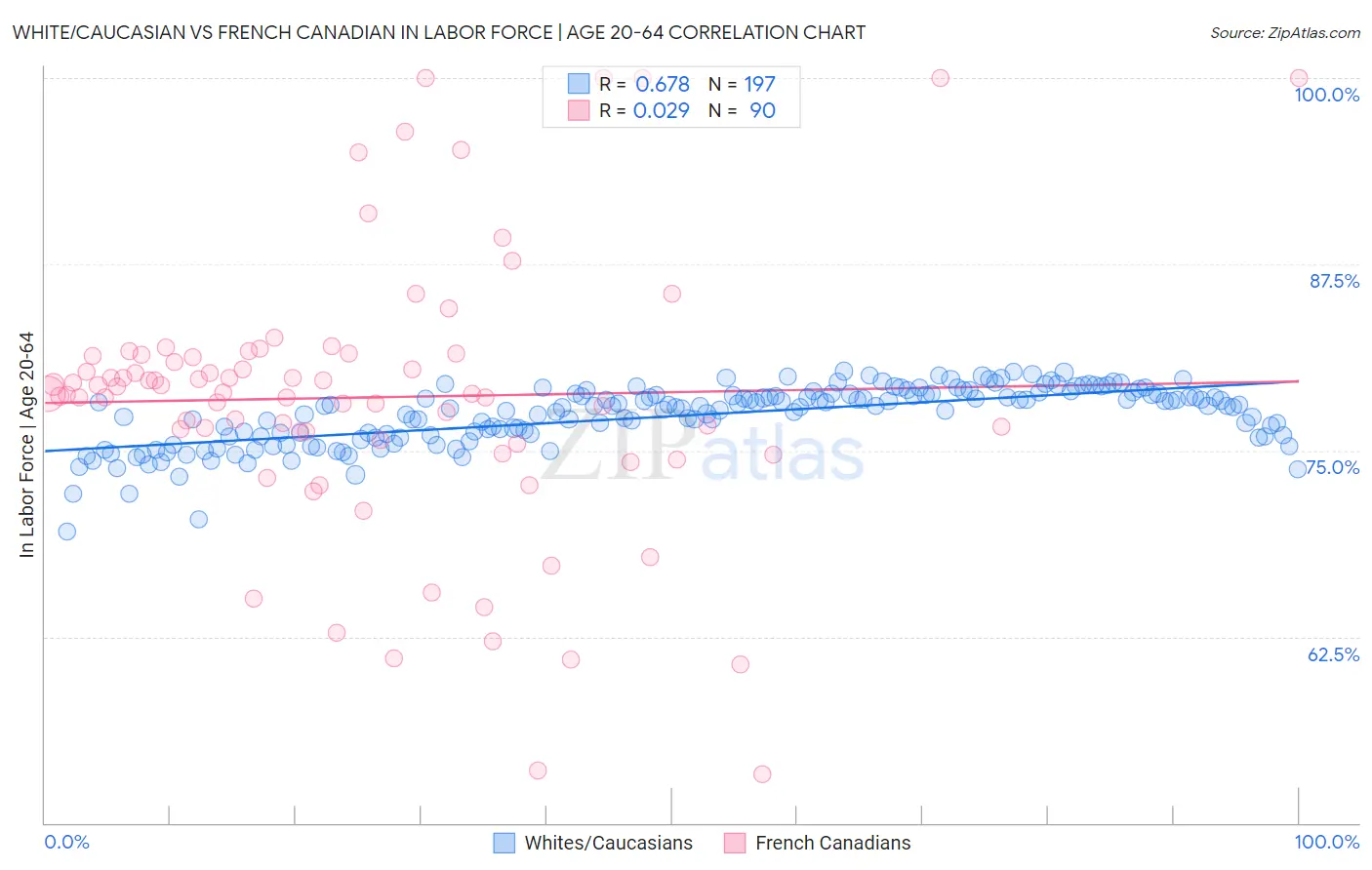 White/Caucasian vs French Canadian In Labor Force | Age 20-64
