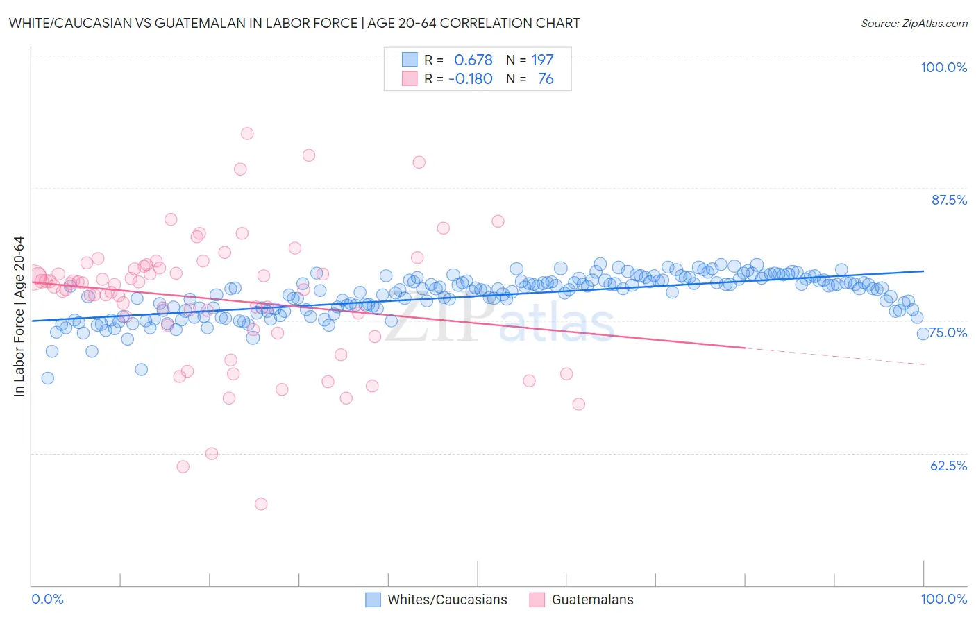 White/Caucasian vs Guatemalan In Labor Force | Age 20-64