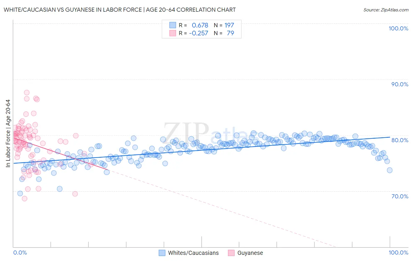 White/Caucasian vs Guyanese In Labor Force | Age 20-64