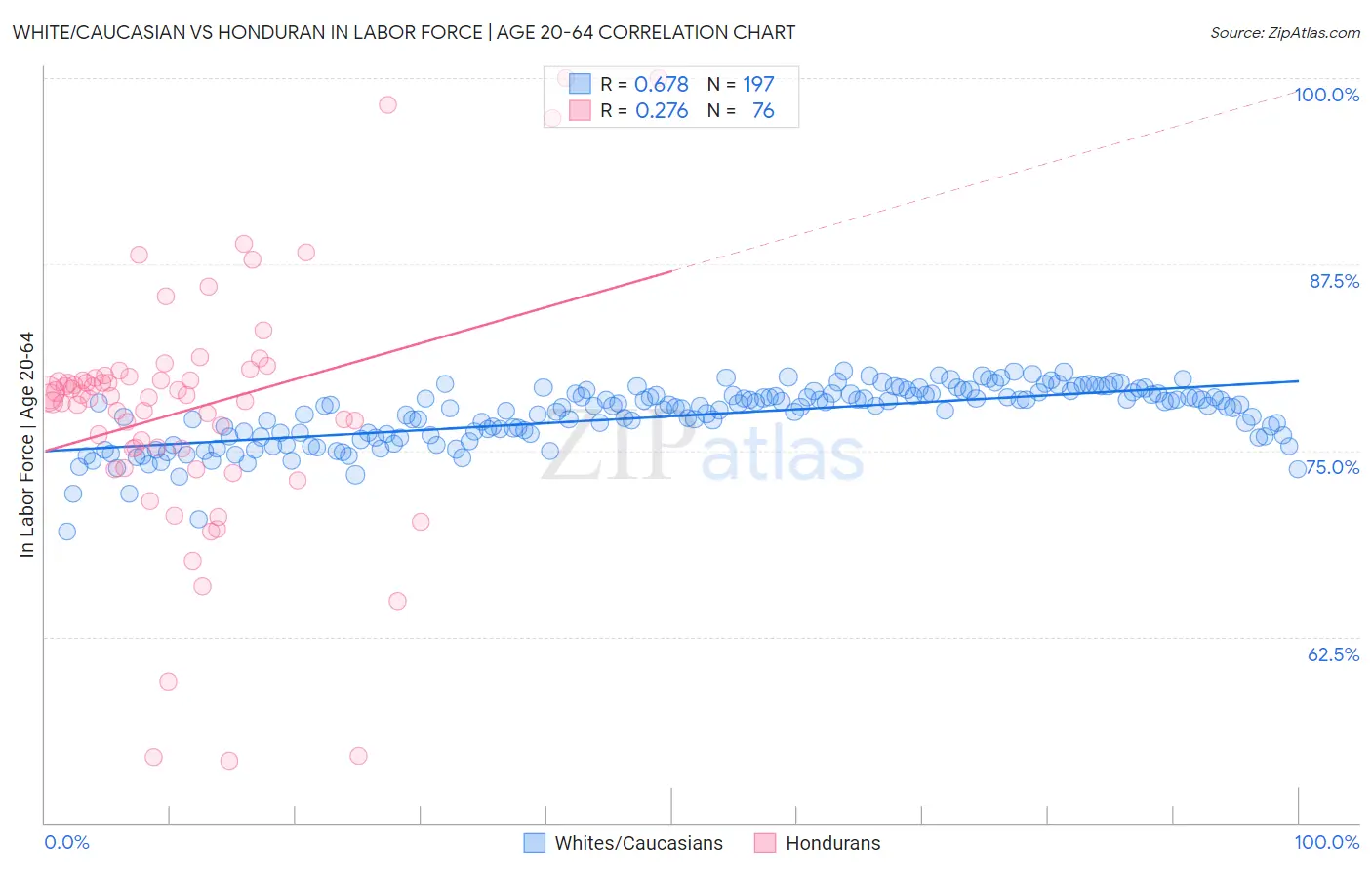 White/Caucasian vs Honduran In Labor Force | Age 20-64