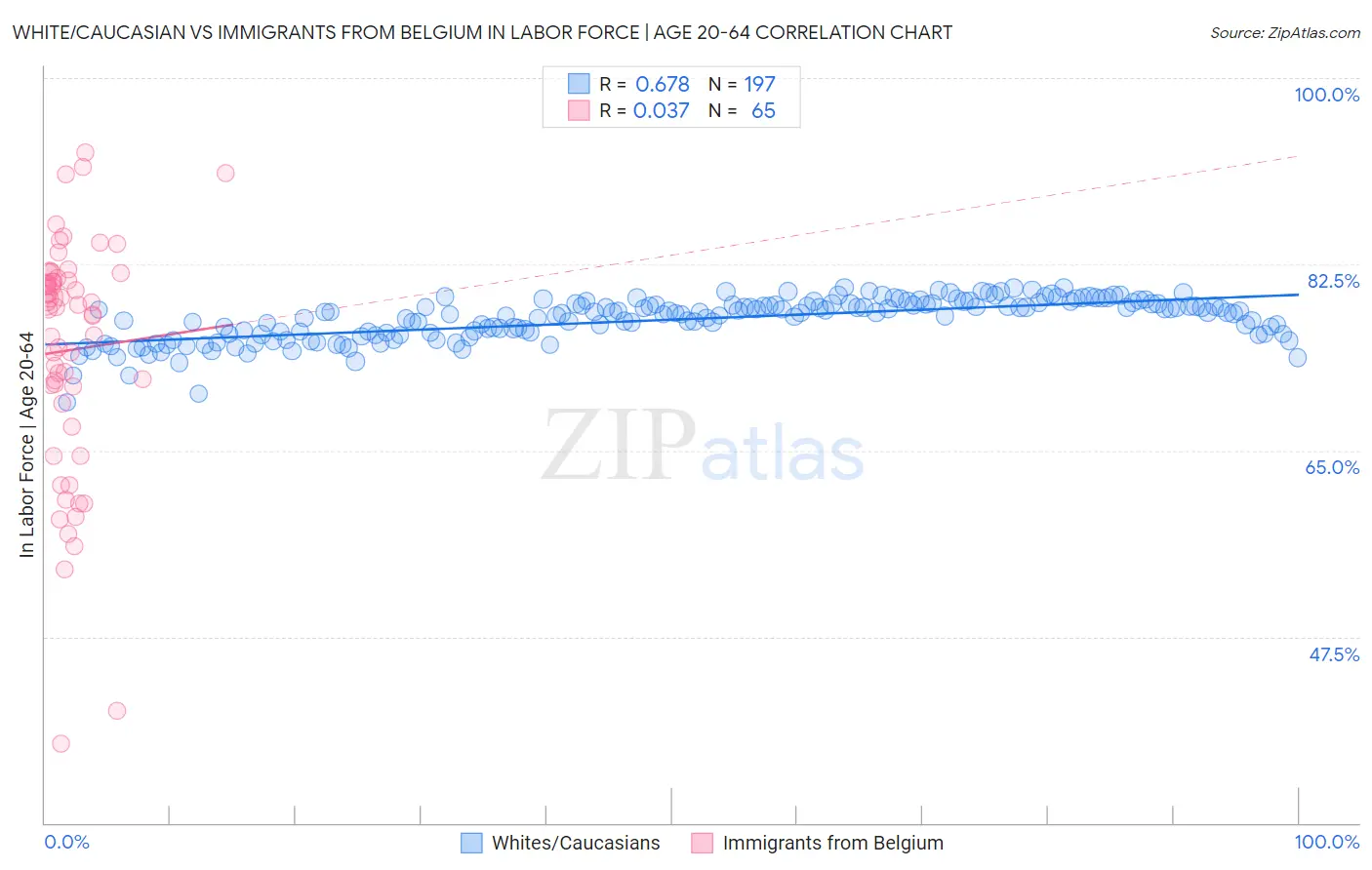 White/Caucasian vs Immigrants from Belgium In Labor Force | Age 20-64