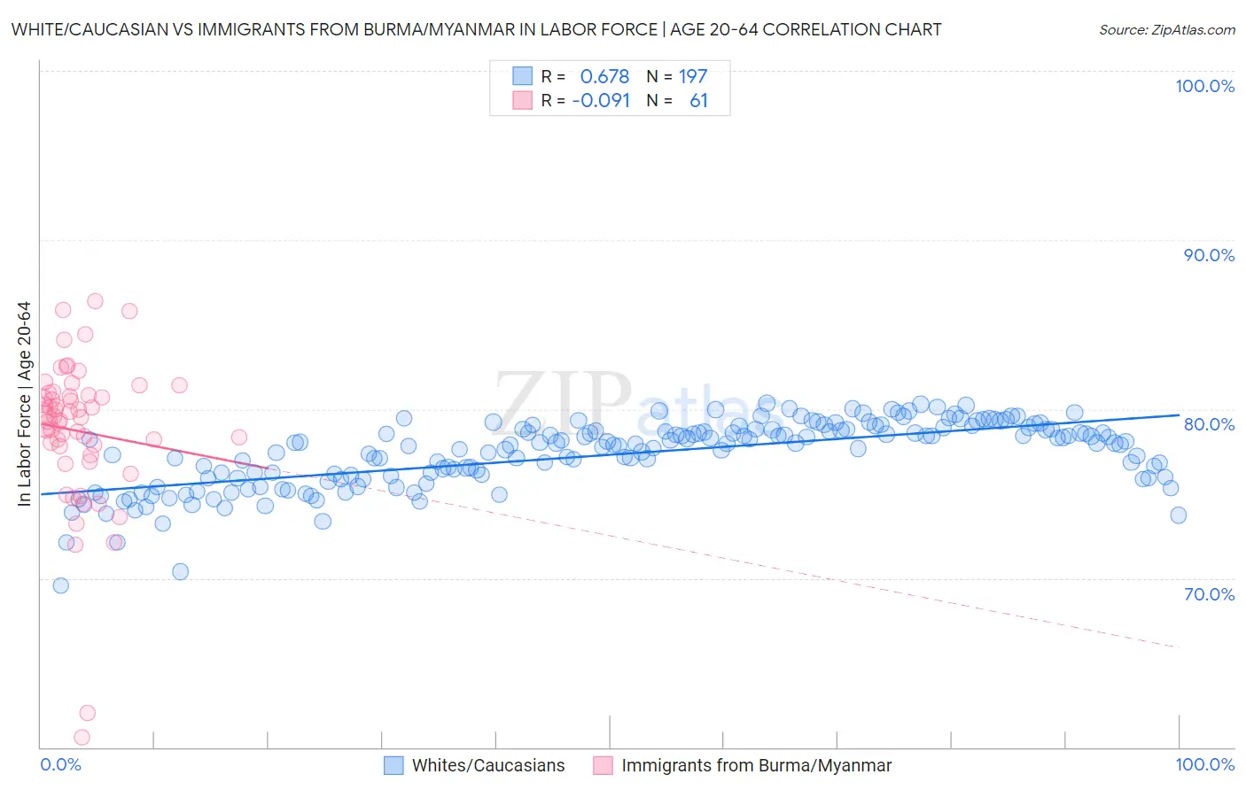 White/Caucasian vs Immigrants from Burma/Myanmar In Labor Force | Age 20-64