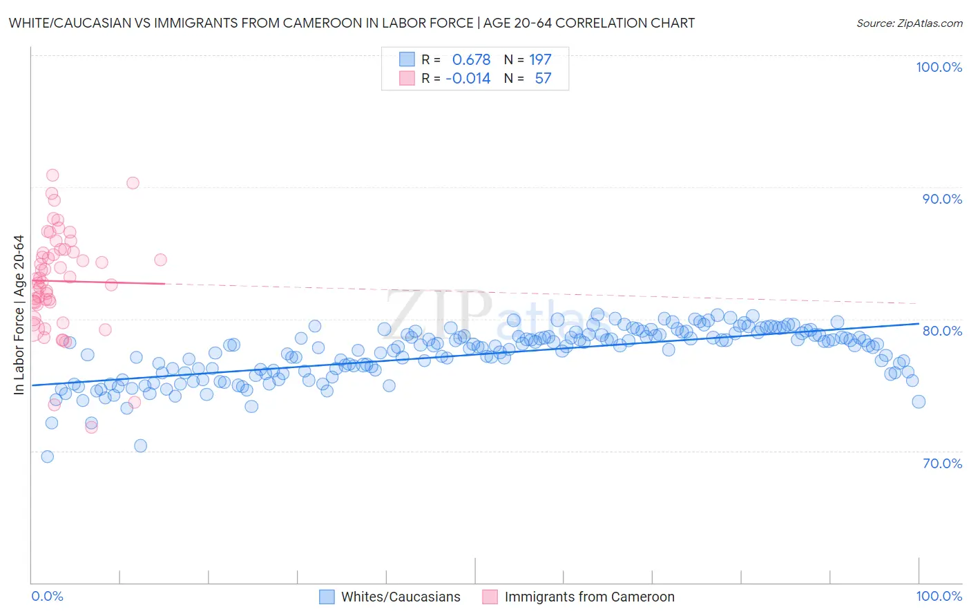 White/Caucasian vs Immigrants from Cameroon In Labor Force | Age 20-64