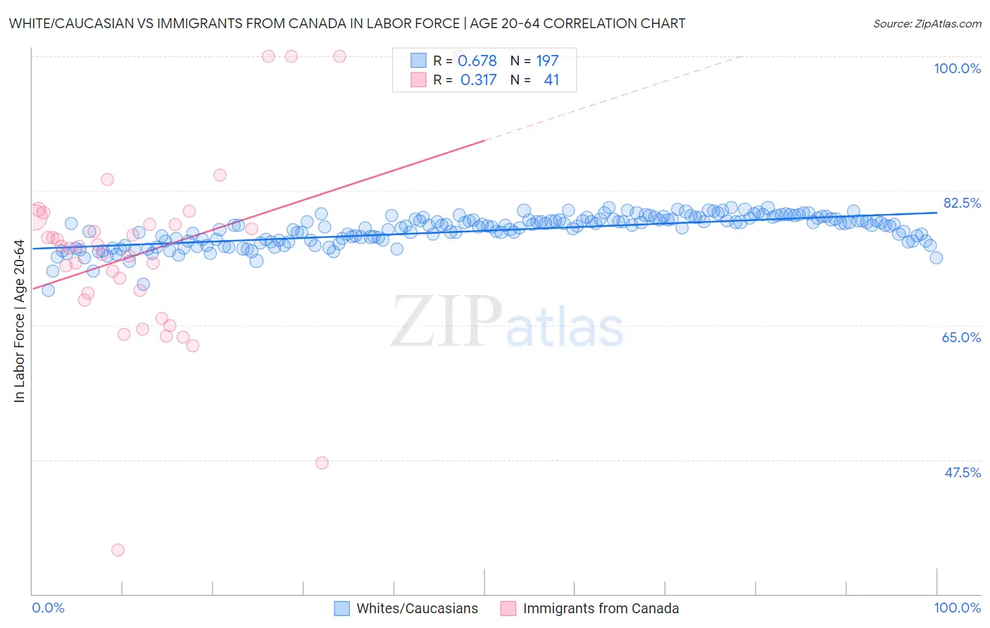 White/Caucasian vs Immigrants from Canada In Labor Force | Age 20-64