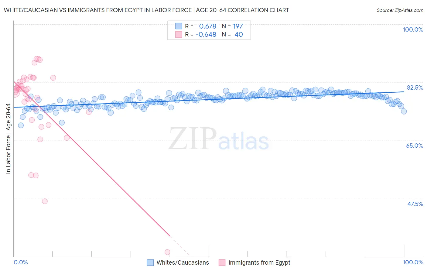 White/Caucasian vs Immigrants from Egypt In Labor Force | Age 20-64