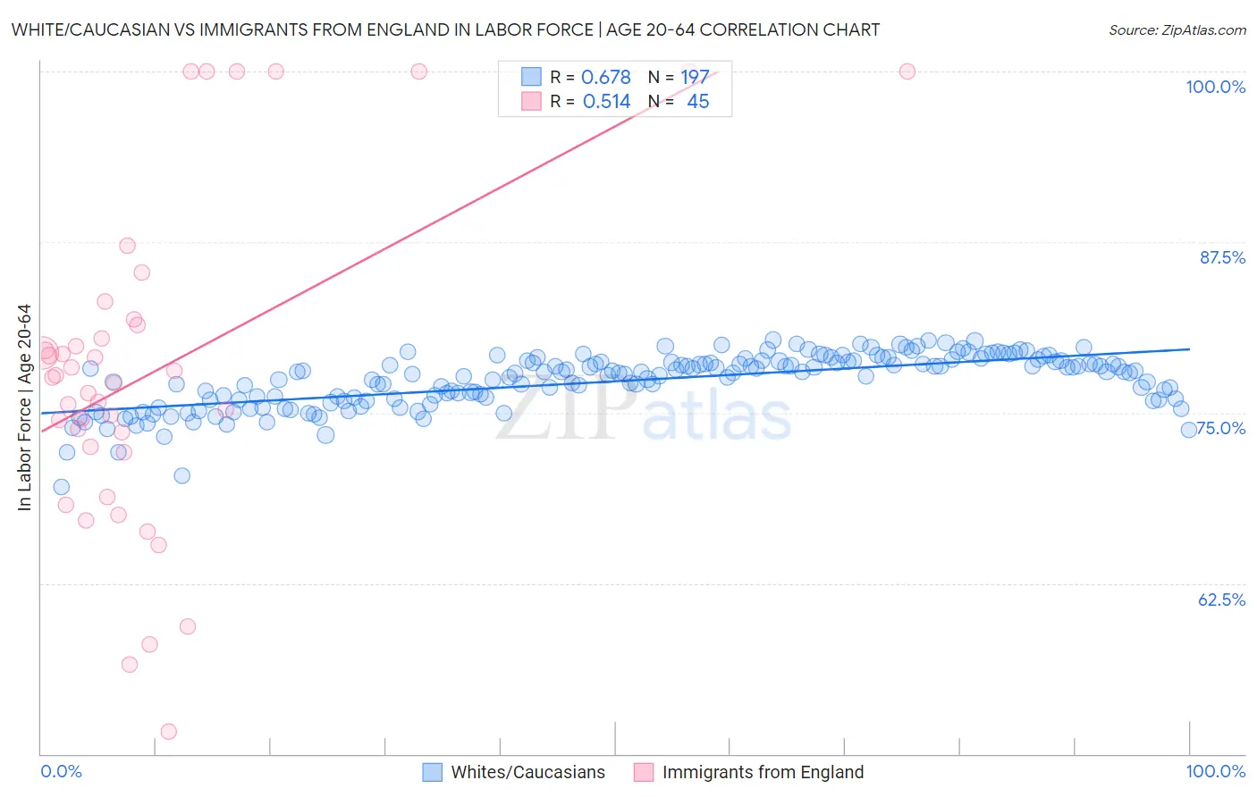 White/Caucasian vs Immigrants from England In Labor Force | Age 20-64