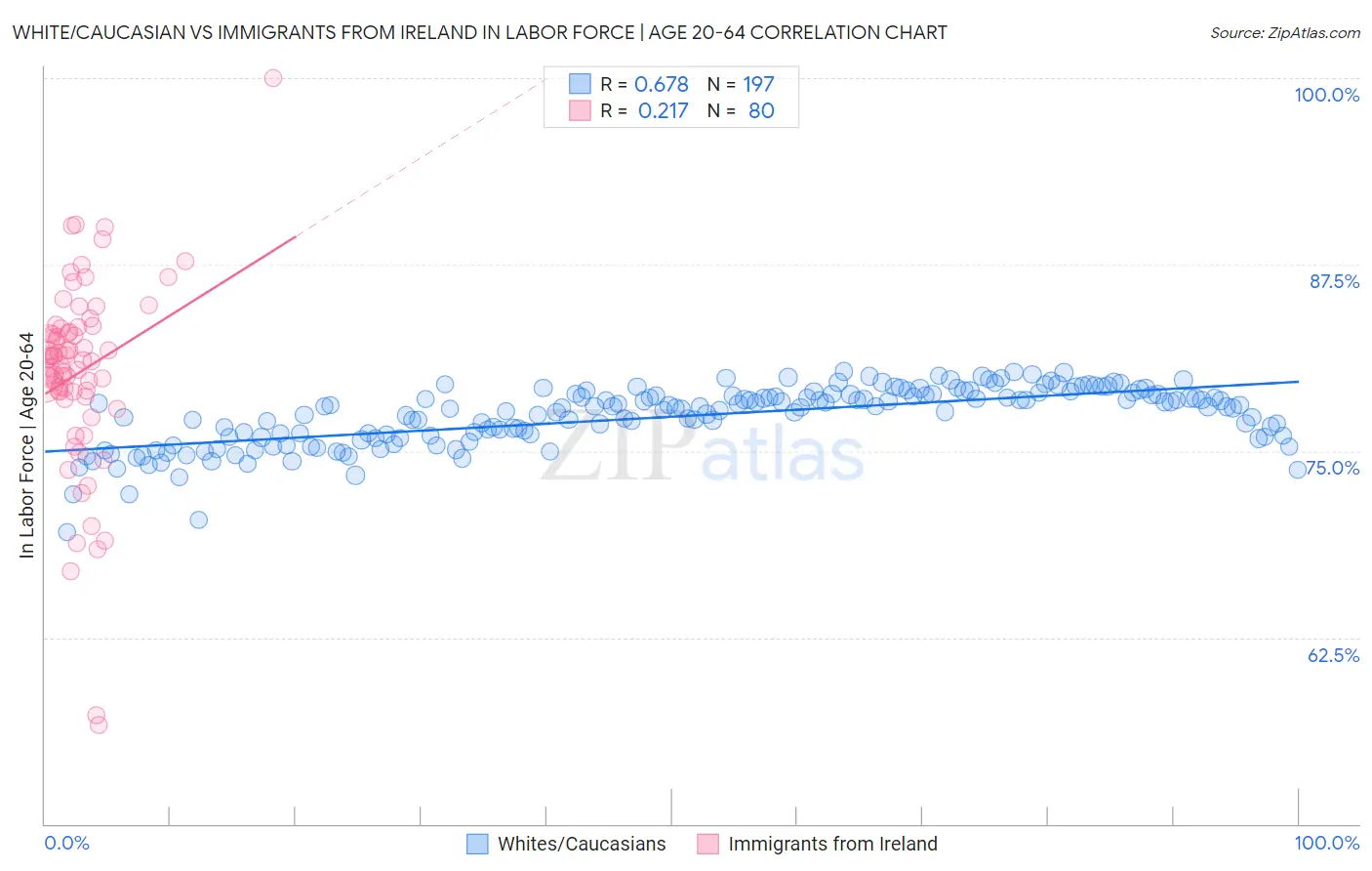 White/Caucasian vs Immigrants from Ireland In Labor Force | Age 20-64