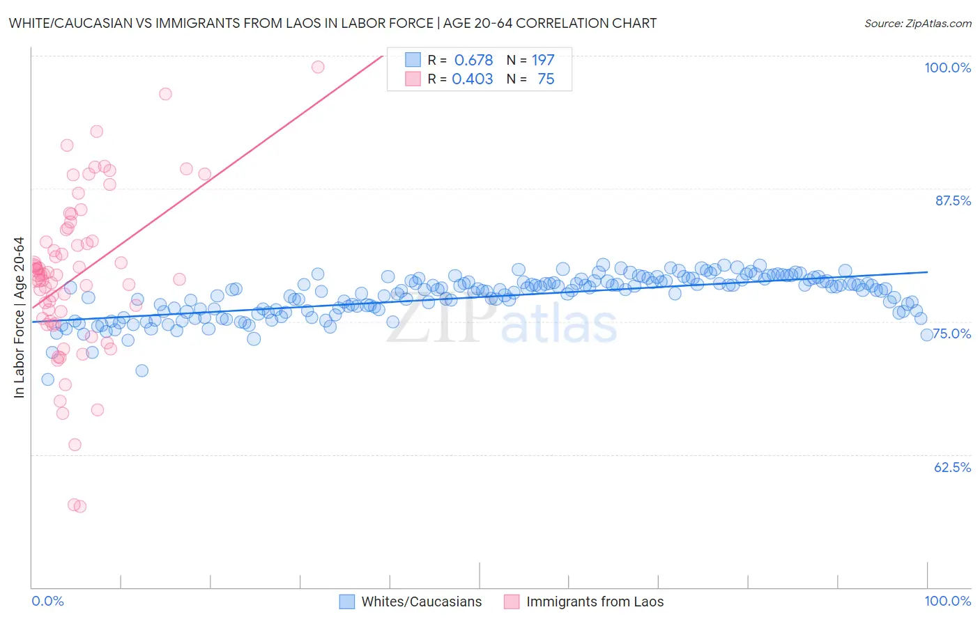 White/Caucasian vs Immigrants from Laos In Labor Force | Age 20-64