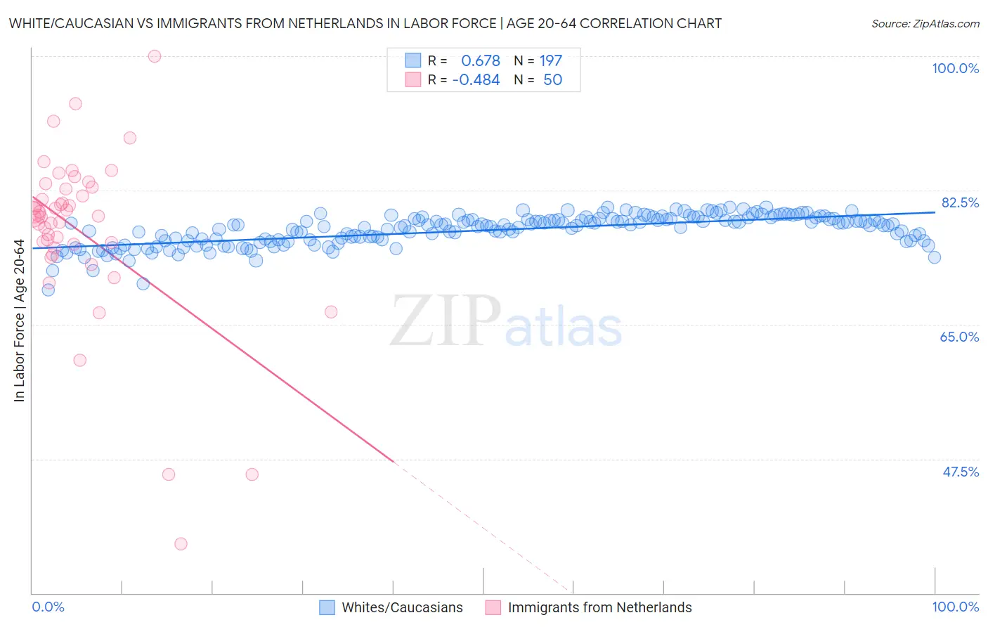 White/Caucasian vs Immigrants from Netherlands In Labor Force | Age 20-64