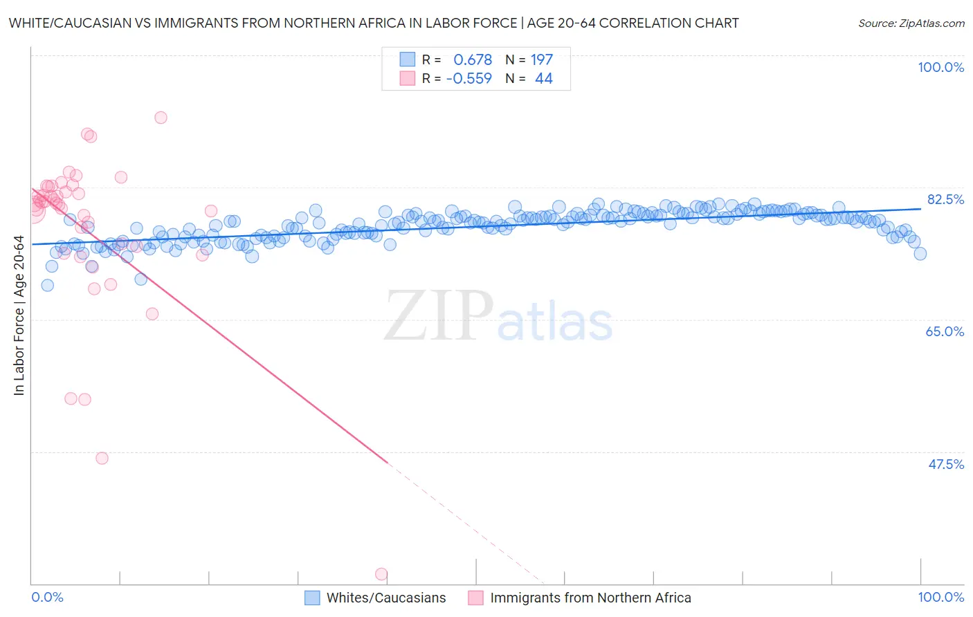 White/Caucasian vs Immigrants from Northern Africa In Labor Force | Age 20-64