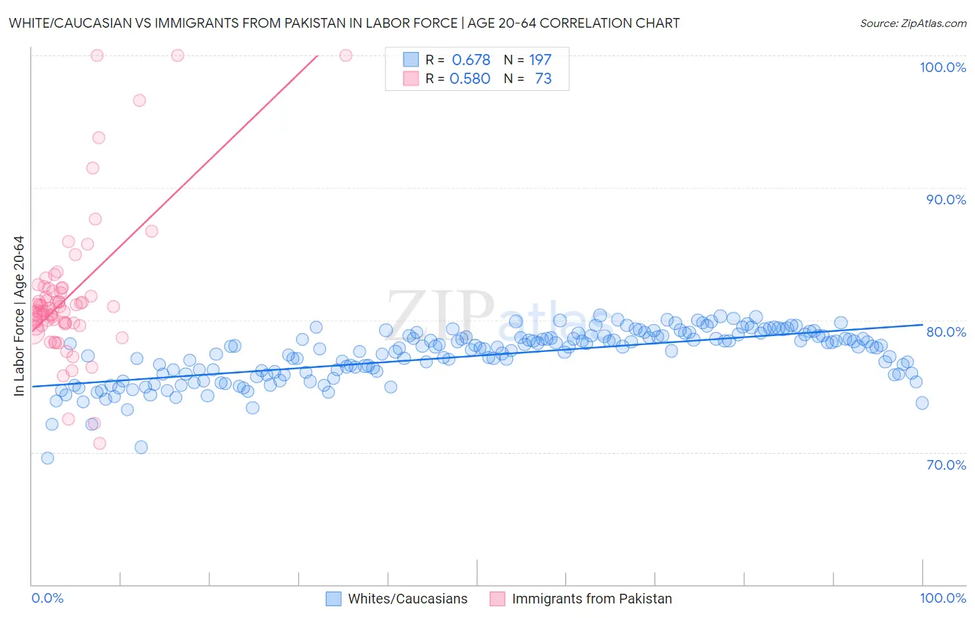White/Caucasian vs Immigrants from Pakistan In Labor Force | Age 20-64