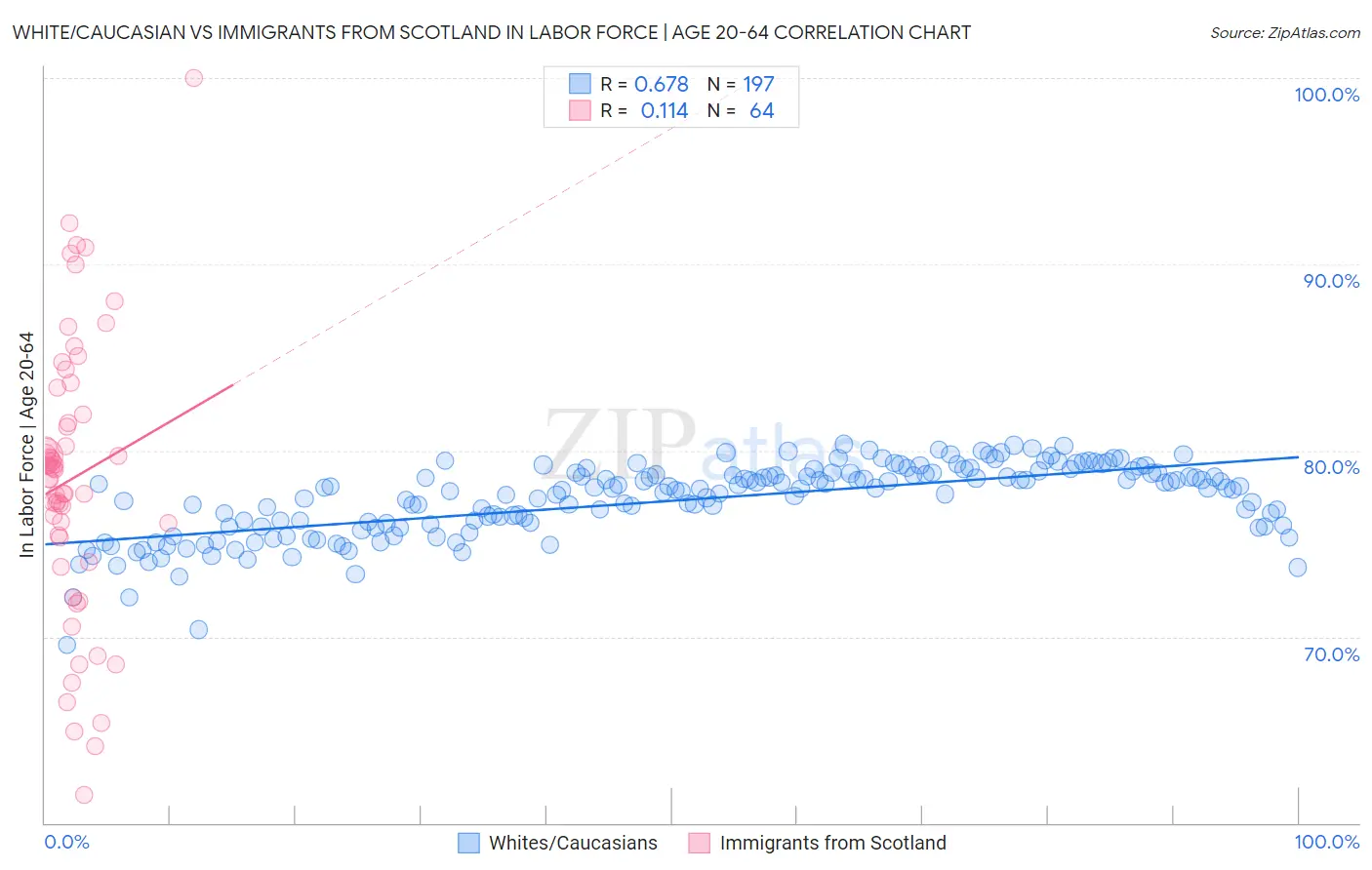 White/Caucasian vs Immigrants from Scotland In Labor Force | Age 20-64
