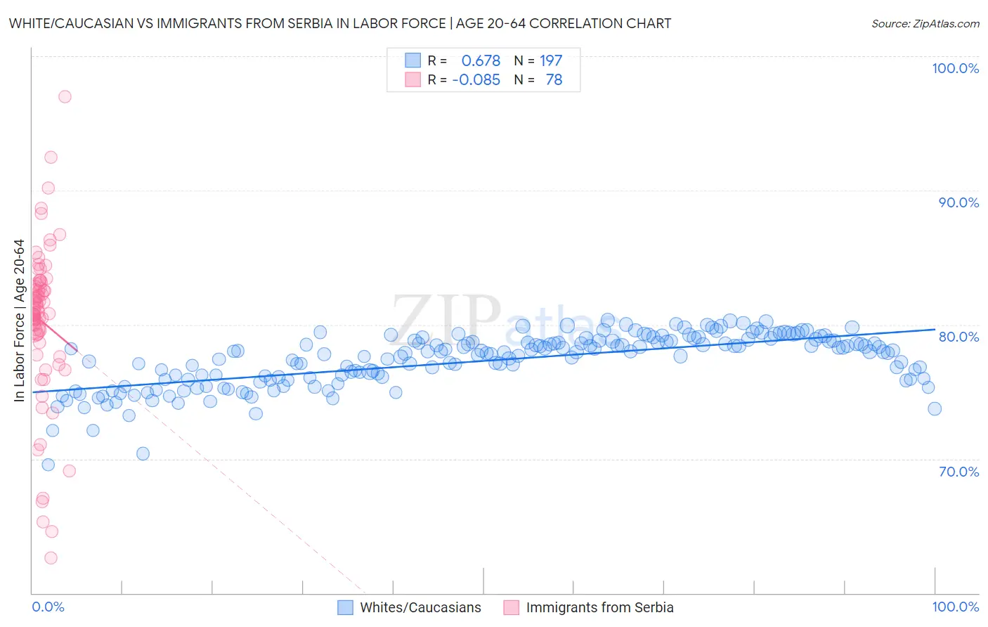 White/Caucasian vs Immigrants from Serbia In Labor Force | Age 20-64