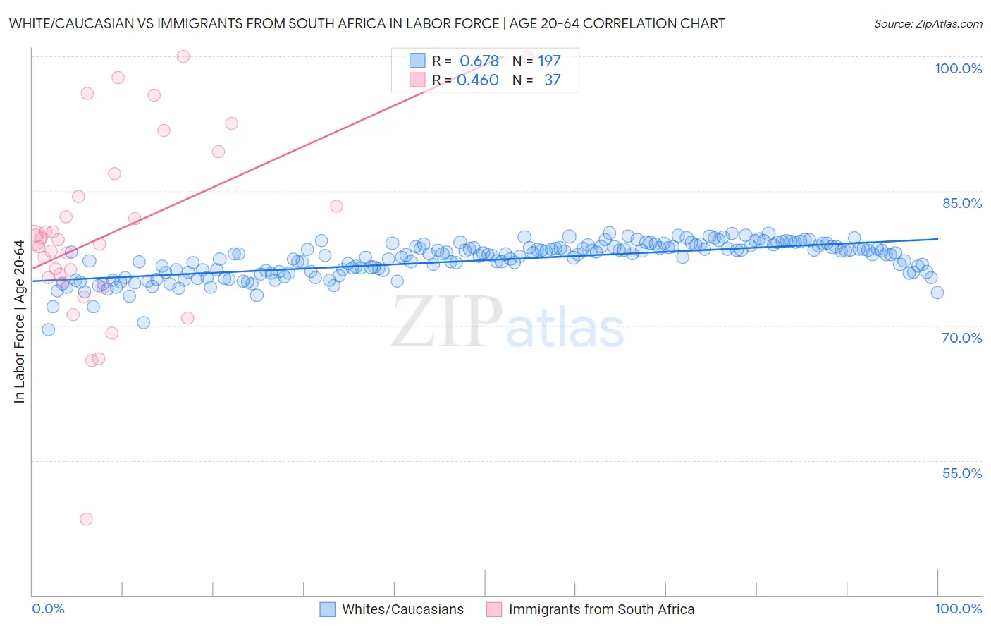 White/Caucasian vs Immigrants from South Africa In Labor Force | Age 20-64